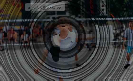 数据卡片：图表、数字与流程图标，展示分析路径与方法。